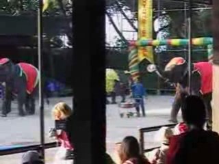 Thai Elephant play Bowling