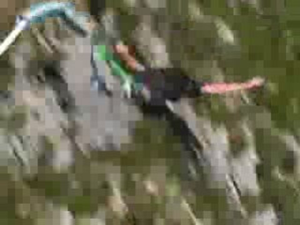 saut à l'élastique du pont de l'artuby