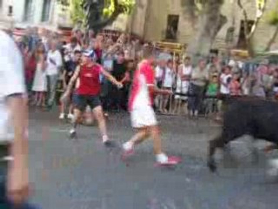 Le taureau