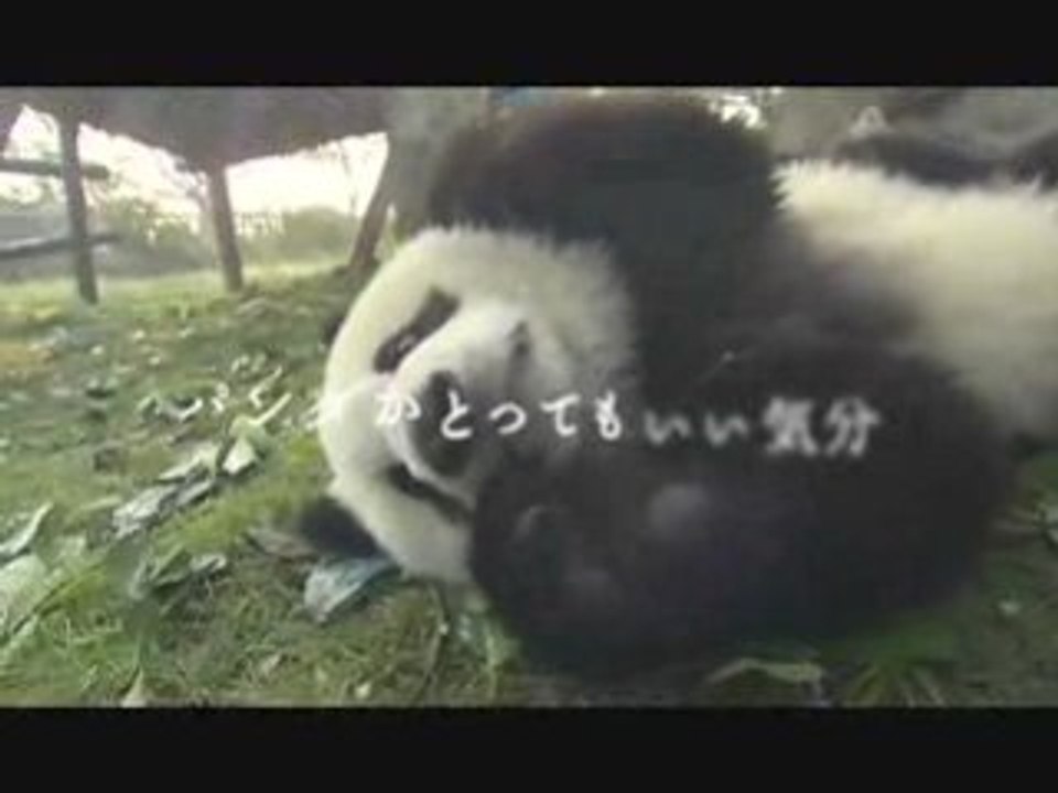 パンダフルライフ 予告