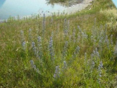 Montage mes photos paysage_0001