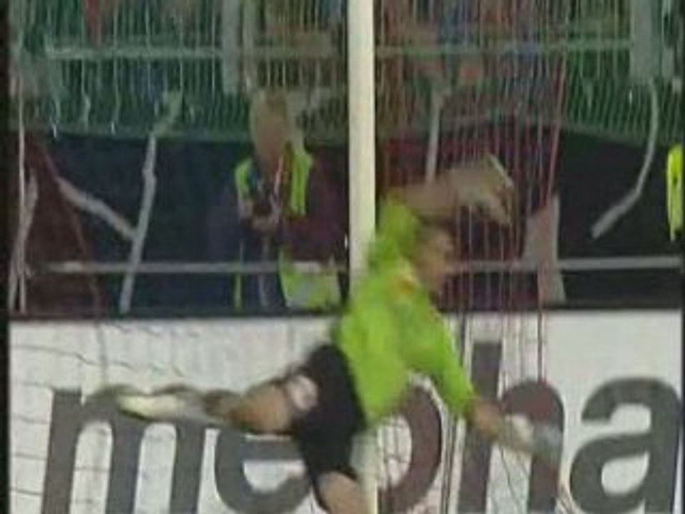 Mladen Petric 06-07