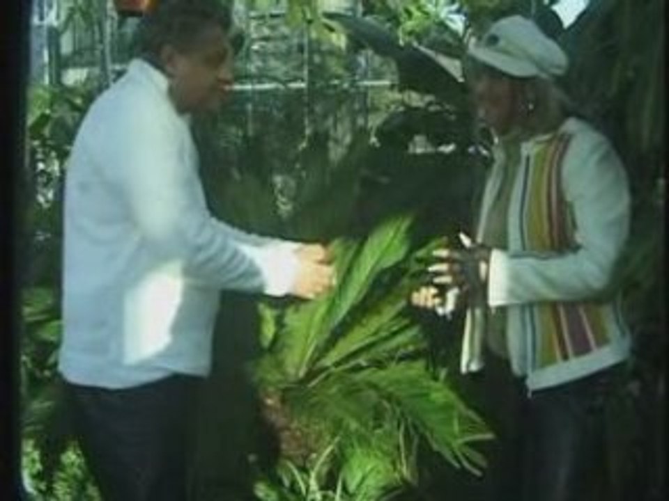 Andy & Lucia  - Na zawsze ty i ja