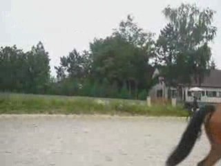 Bouille d'Amour &&. Moi ~ [ CSO ]