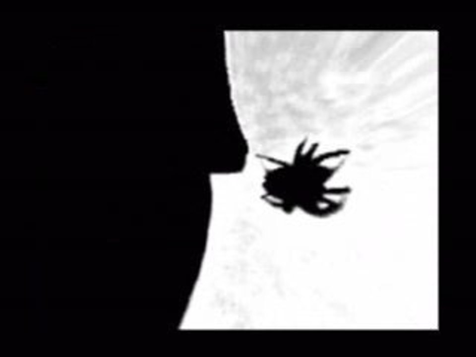 clip hvrsatski