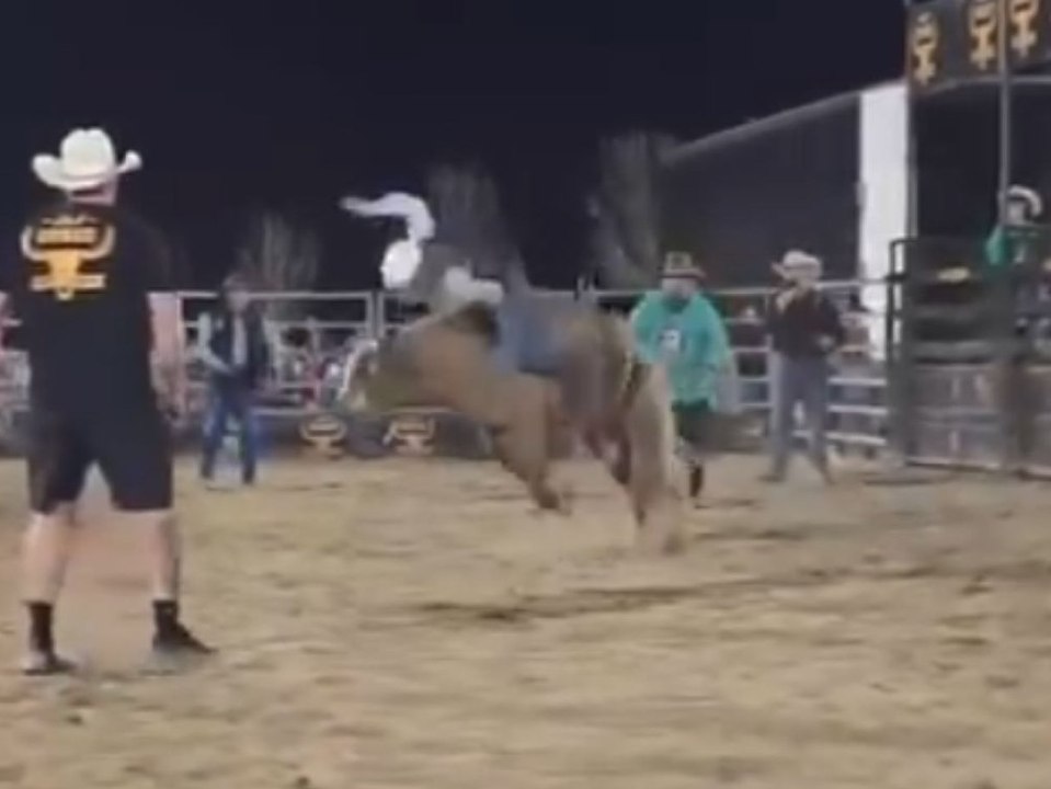 Stolzer papa! chris hemsworths tochter reitet zum rodeo-sieg