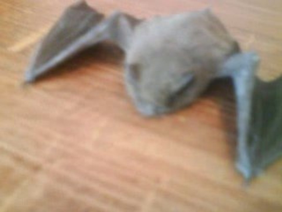Chauve souris3