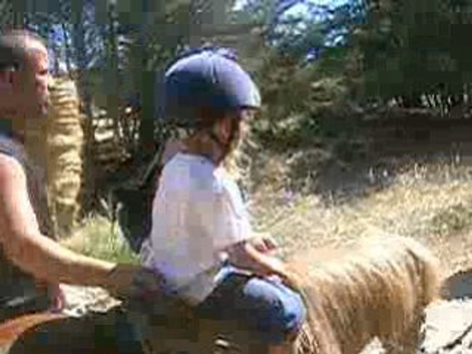 A poney