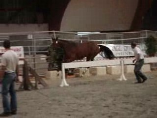 La roche sur foron - saut en liberté 2