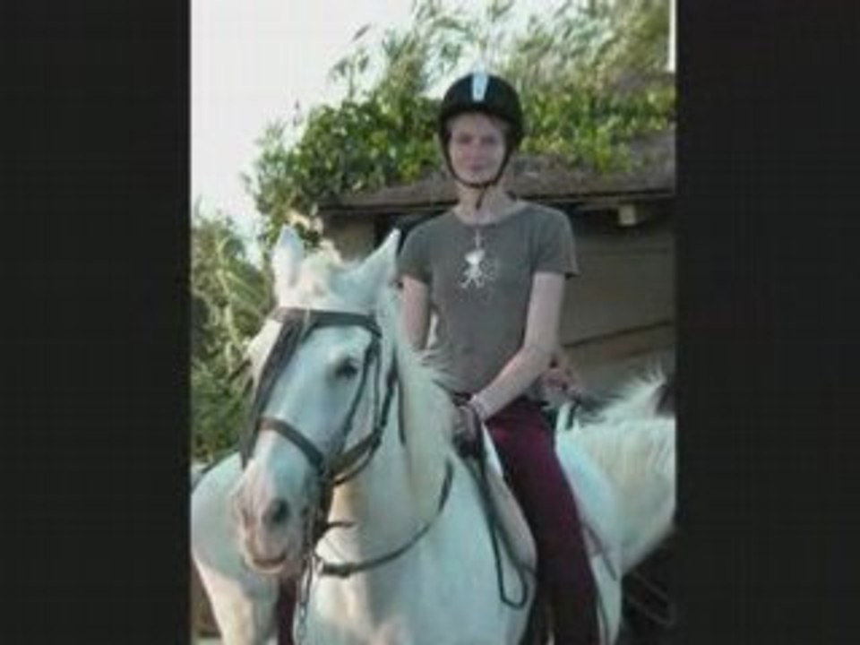 Ma passion Les chevaux