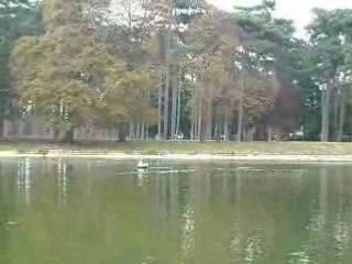 bateau rc remorqueur