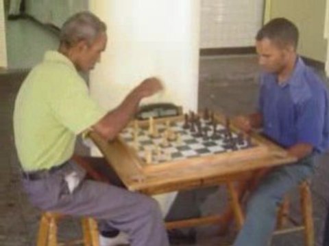 Cailles de Santo Domingo