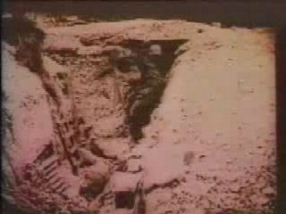 Аквариум - 212-85-06