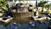Birds Pond