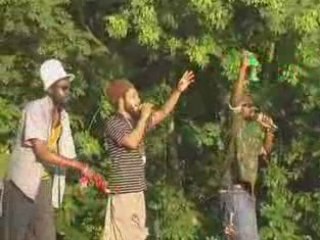 RADIKAL FONDATION LION-3