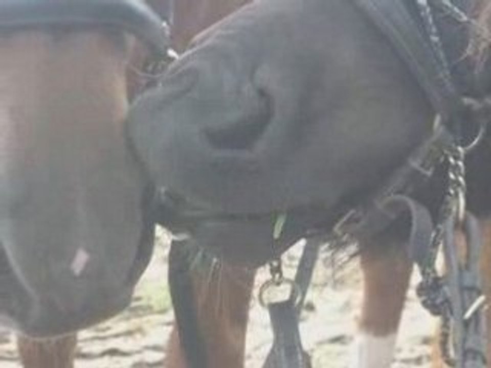 Balade Pawnee/Khamel