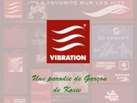 Vibration (parodie de Garçon de Koxie)