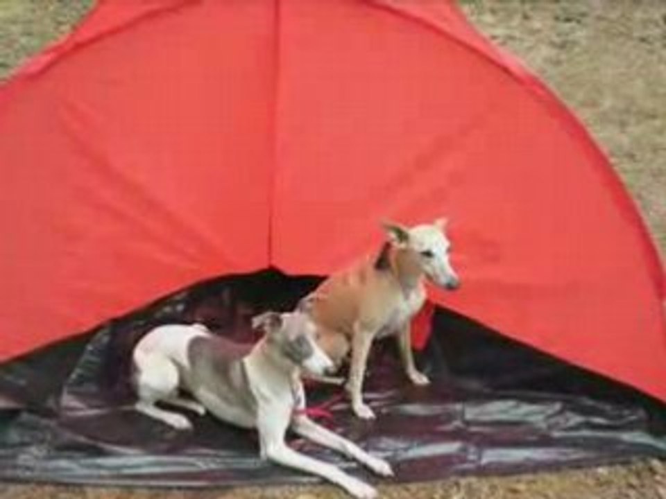 Balade barbizon aout 2008