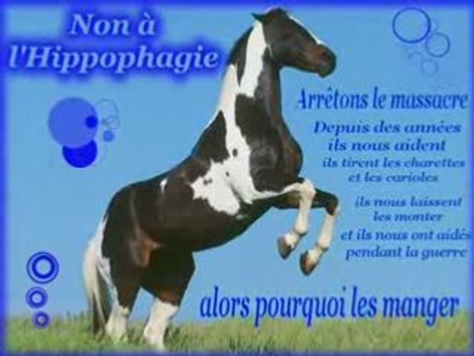 NON A L'HIPPOPHAGIE !