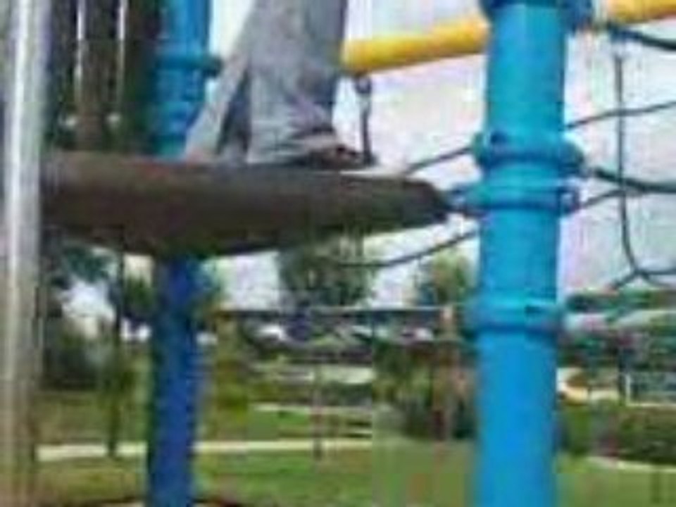 VID015