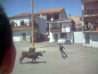 EL PAYO 08 VACAS FIESTAS PLAZA