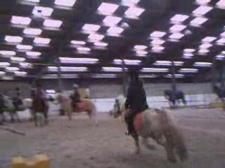 Moii et Nougat (vieille viideo)