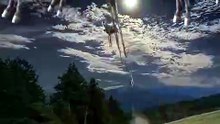 SpinningMule - #funnyanimals #pets #fyp #SpinningMule