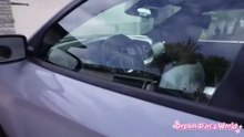GIRL STEALS BROTHER_S NEW CAR TO GO TO MCDONALD_S_ What Happens Next Is Shocking