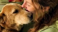 🐾 A Rescue Dog's Tender Nose Boop Says Thank You for a Second Chance 💕