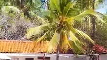 Kenia: oferty wakacje od 4442 zł/os. | All Inclusive | 7 nocy | Lastradar