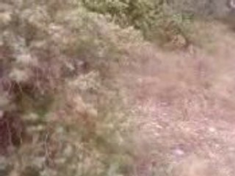 Vidéo Cap cherche Nico Pujaut 15-08-08