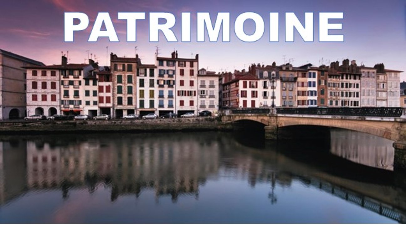 L'île aux Faisans, le plus petit condominium du monde
