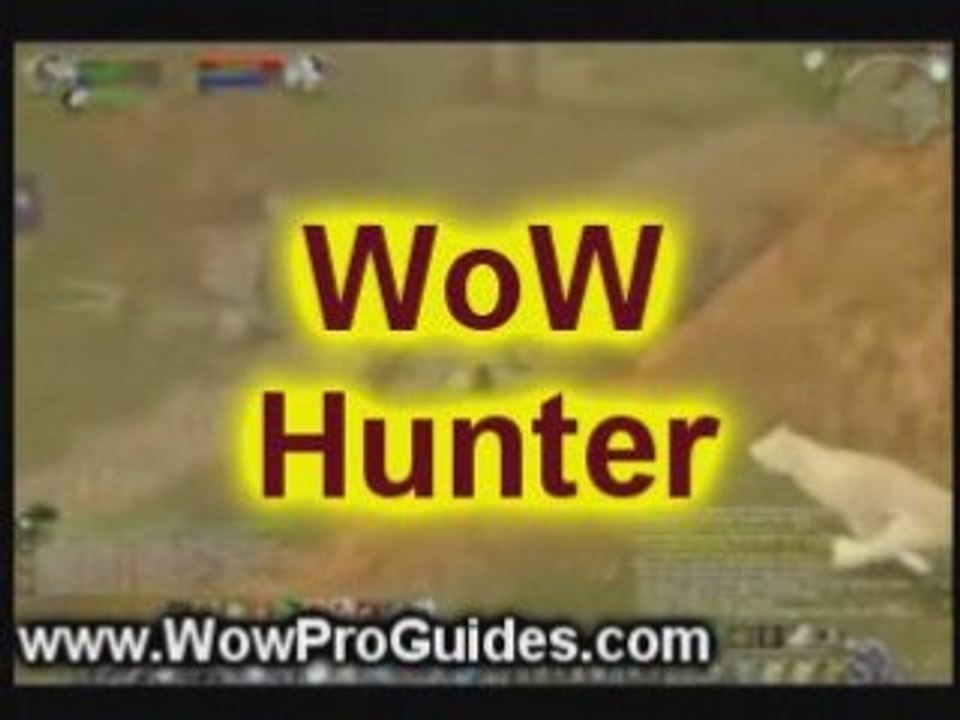 wow-hunter-leveling-guide-video-dailymotion
