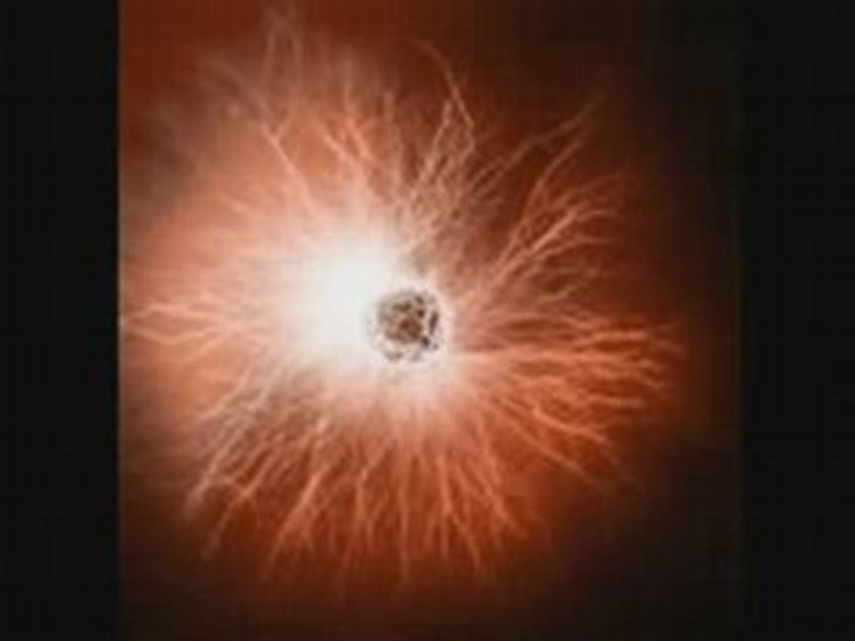 Heard MonaVie On FOX News Medical Report? New Trend Is Here!