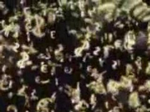 (money) money money $997 Cash Money Paid DaILy