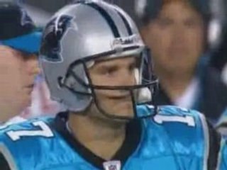 Panthers