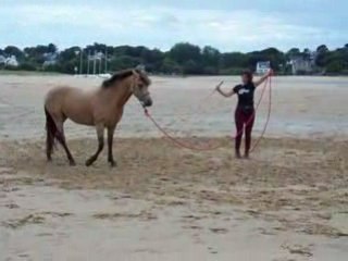 séance plage du 15/08/08 : cercle (début difficil)