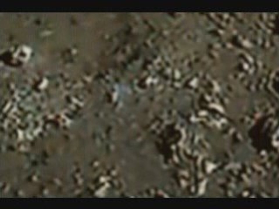 Phony Moon head image only contain Primates & Human Species