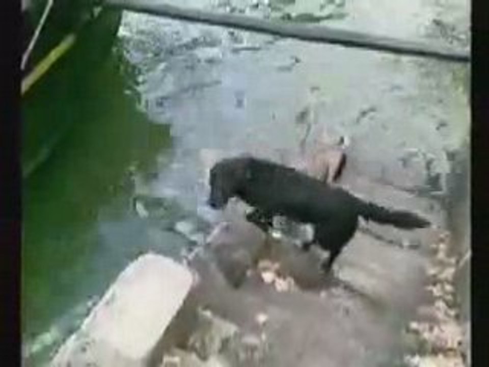 Alice prend son bain dans la Seine