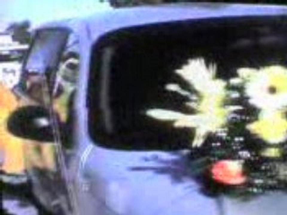MOV00011