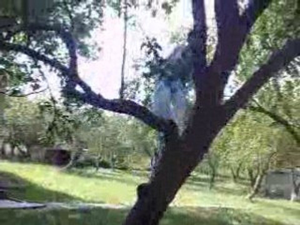 Video021
