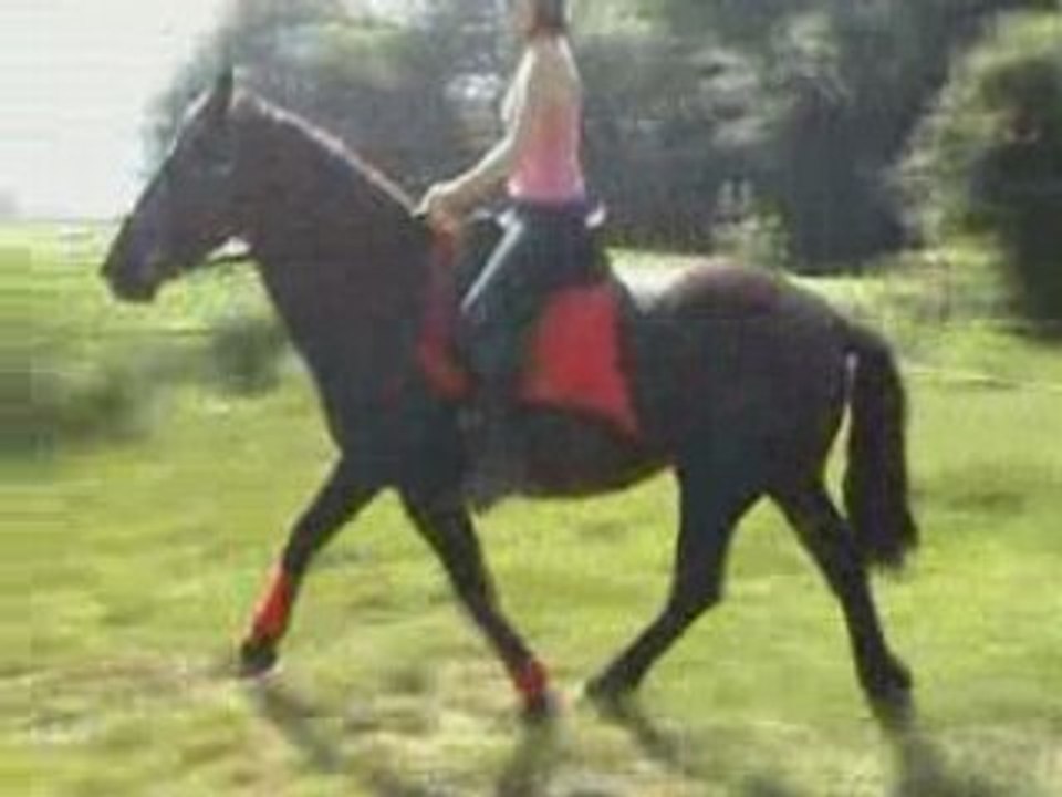 Micky 08-07-01