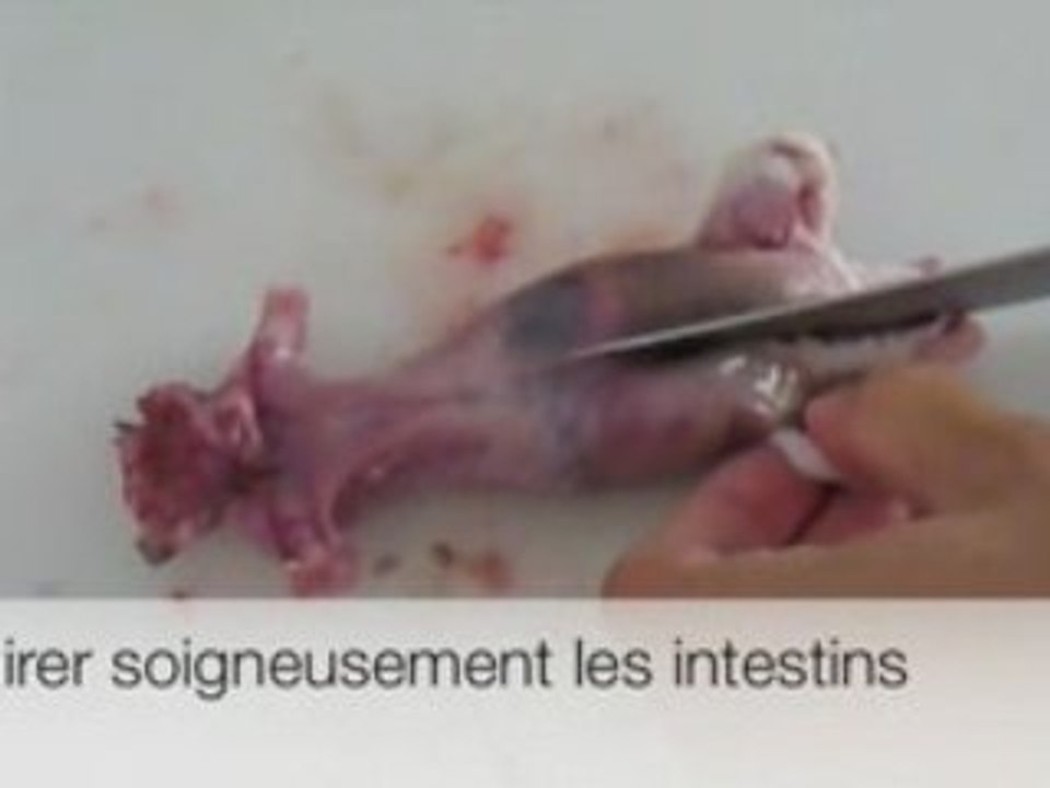 Tartare_de_rat