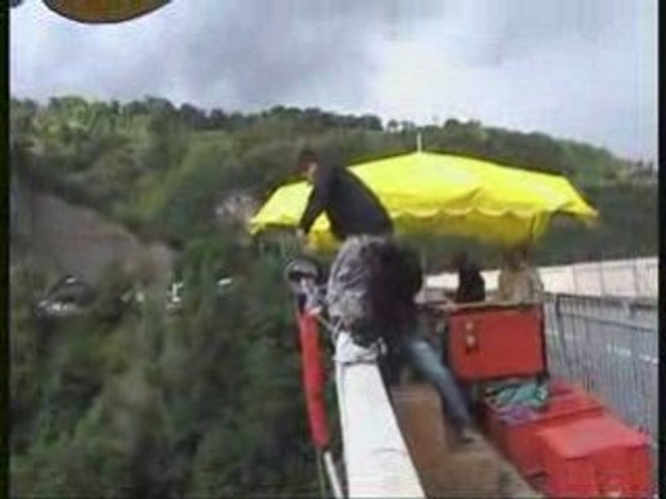 bichon saut à l'elastique