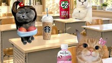 Favorite drinks