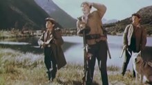 Despre ce tăcea Taigaua (1965)