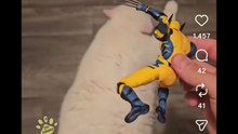 Animali doppiati