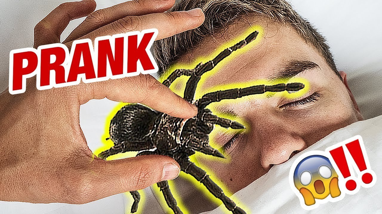 Fake-Spinne im Gesicht: Simon Will! Deutscher Prank in Thailand