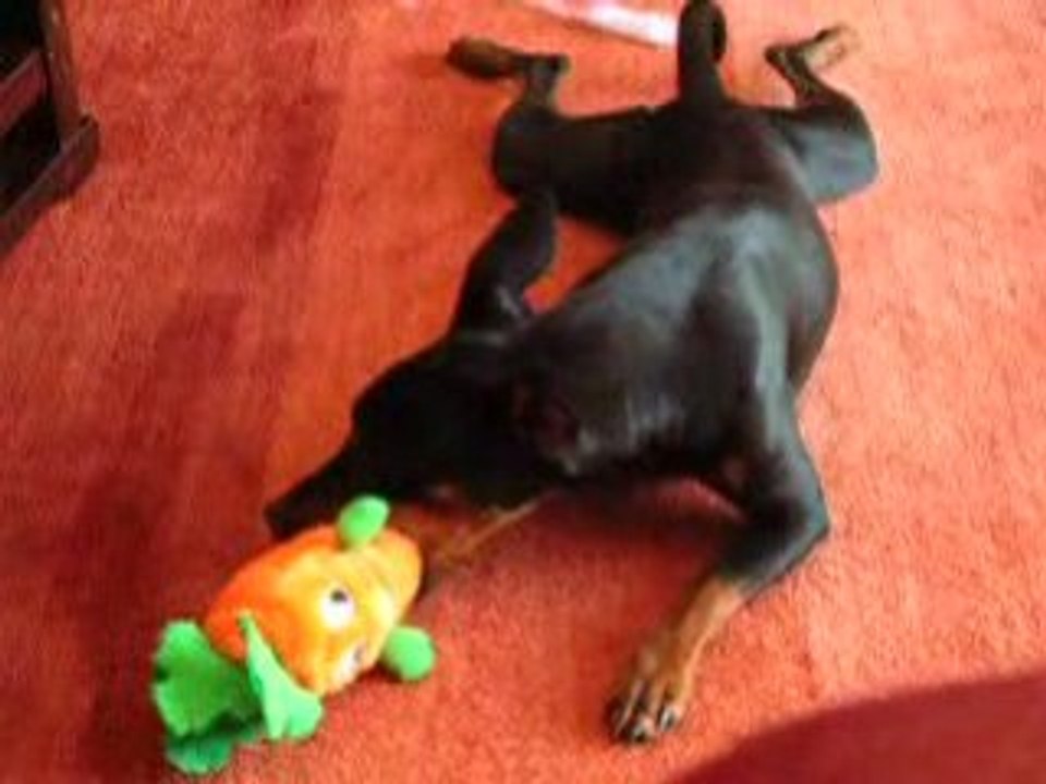 Vidéo 001