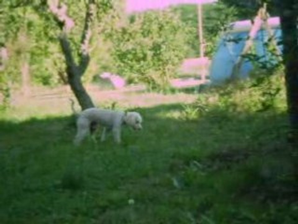 Sam au jardin